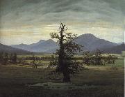 Caspar David Friedrich The Solitary Tree oil painting picture wholesale